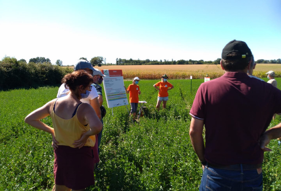« Montre moi ton métier » Résultats du concours photo