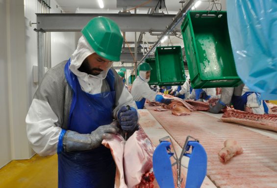 Rencontre entre les jeunes et l’agroalimentaire   – visite d’entreprise