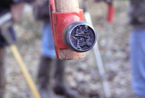 Les formations de la filière Forêt-Bois au lycée des Barres : colloque ERASMUS