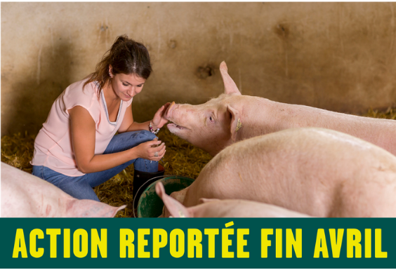 Éleveur de porc = faire naître et élever