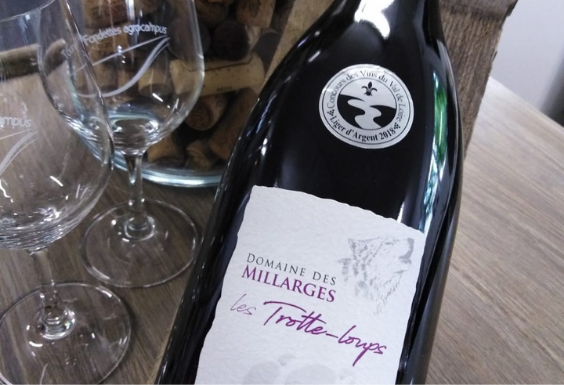 Découverte des métiers de la vigne et du vin : visite d’exploitation