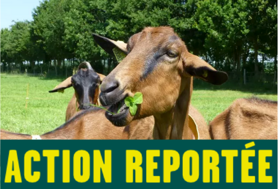 Visite d’exploitation caprine à reprendre