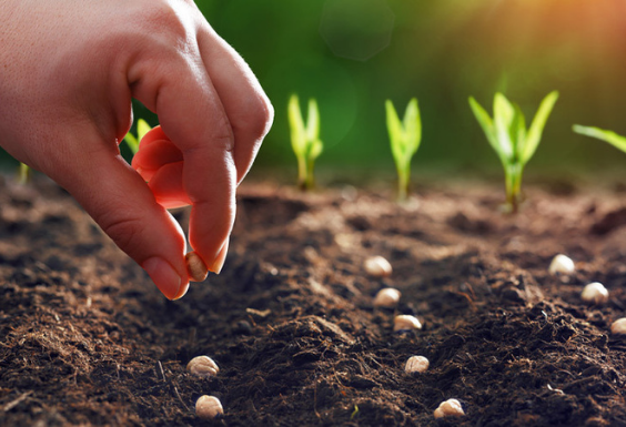 Les métiers où tout le monde « sème » ! Découvre le monde des semences et trouve ta vocation dans des métiers diversifiés et durables. IT’S SEMEURTIME !! »