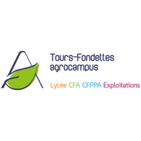 Tours fondettes