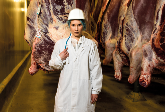 Rencontre d’acteurs entre établissements chargés de l’emploi et les abattoirs régionaux
