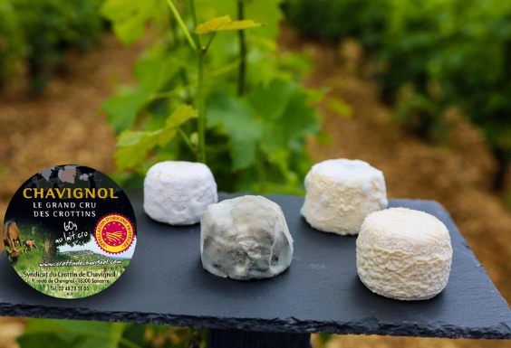 Favoriser les installations et reprises d’exploitations caprines dans la zone Chavignol – production laitière caprine – exposition et promotion de la filière