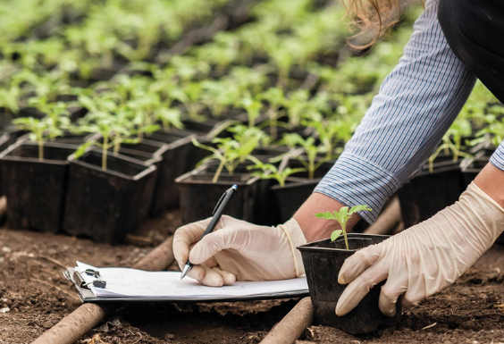 Agriculture biologique et maraichage : animations et découverte de l’espace-test