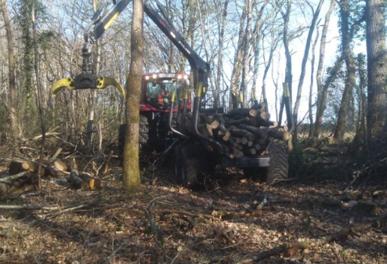 Découverte des métiers de la Forêt : vis ma vie d’ouvrier forestier sur un chantier d’abattage et de débardage