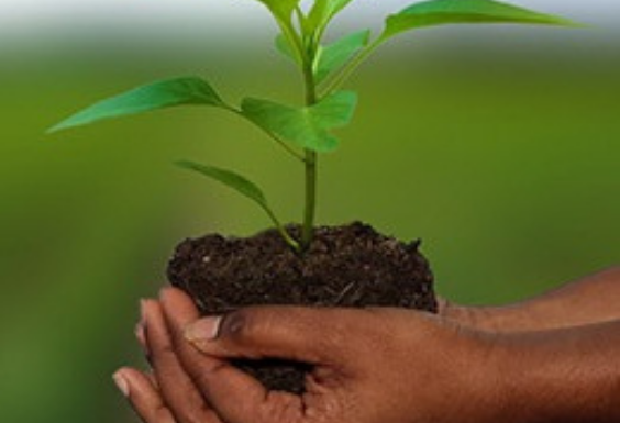 Journée réflexive sur l’emploi en agriculture : rencontre d’acteurs autour de l’emploi en agriculture