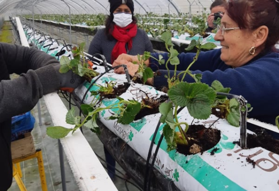 Job Dating en maraîchage