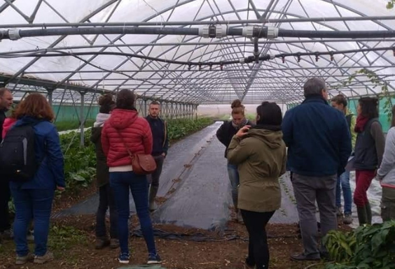 Devenez maraîcher sur le territoire de l’agglomération de Châteauroux