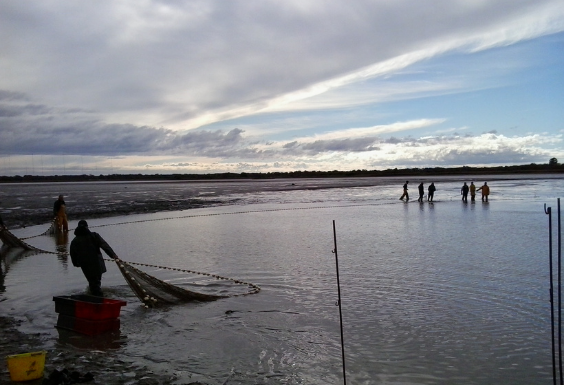 Présentation de la filière piscicole – portes ouvertes