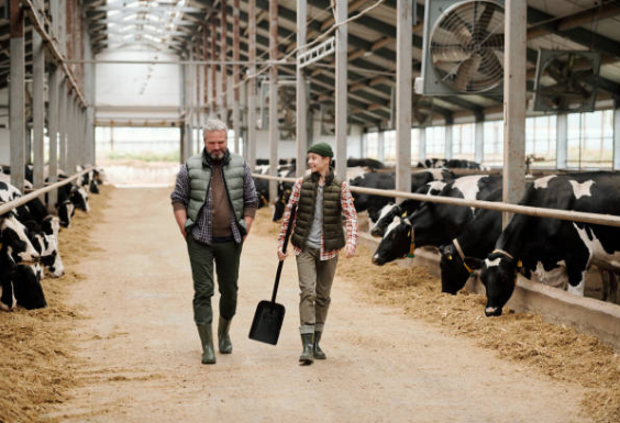 Job Dating « Agent de remplacement »